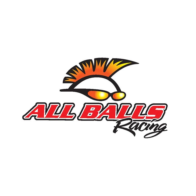 All Balls Diff Bearing - Seal Kit - Rear Can Am 2015